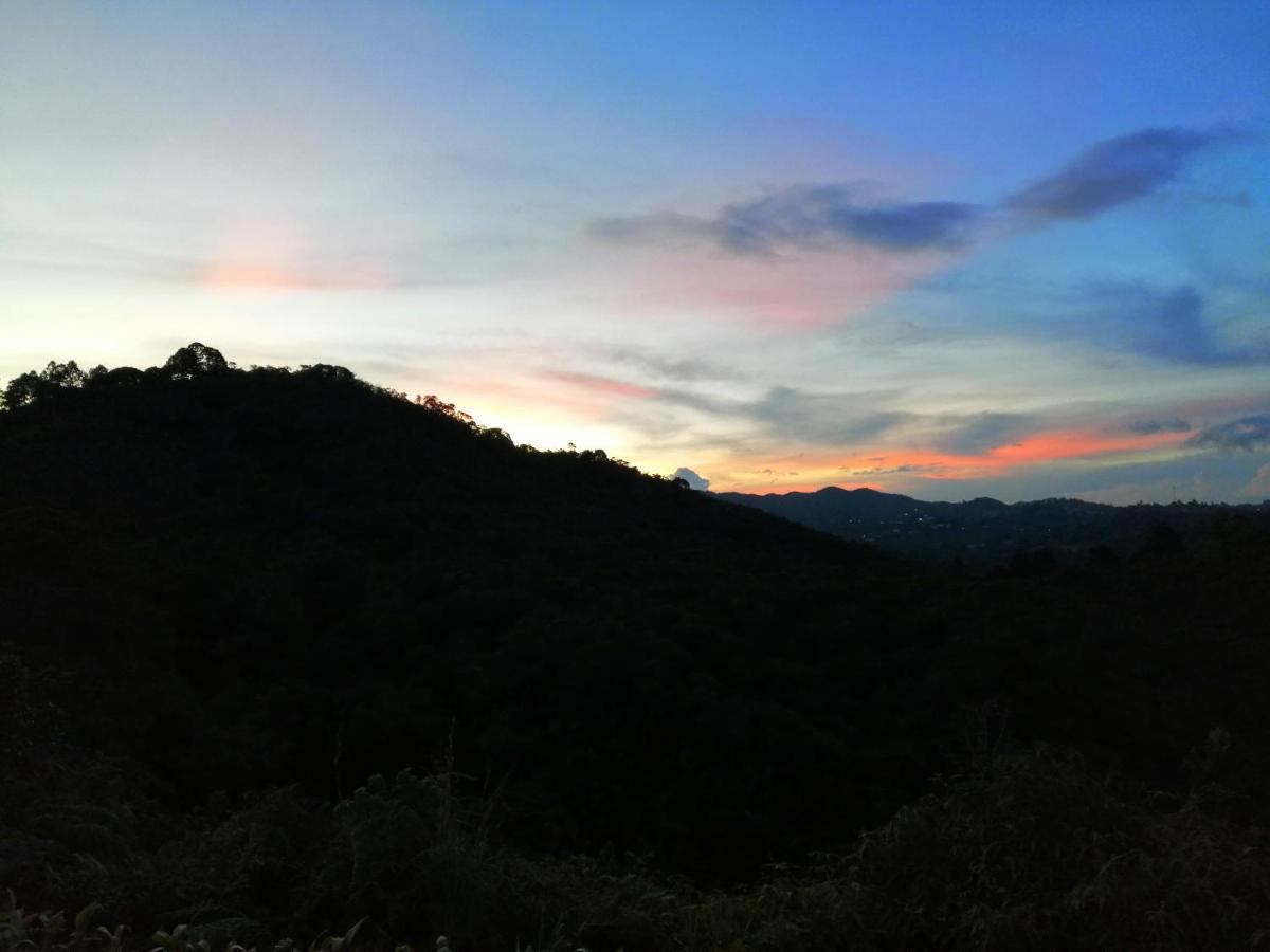 Hotel Glamping La Montana Sagrada Medellín Esterno foto